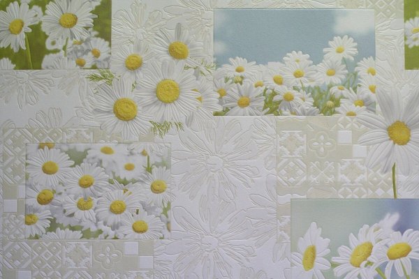 Обои Elysium ромашки 901302