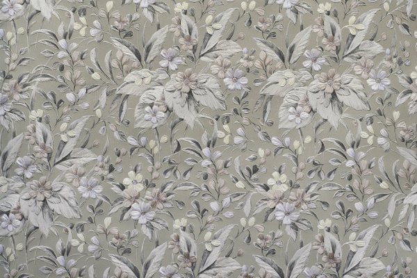 Элизиум Патриция