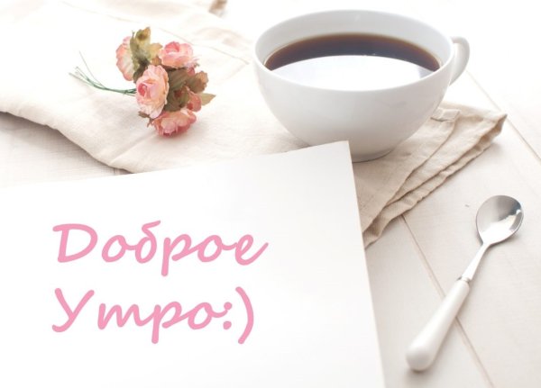 Доброе утро солнышко