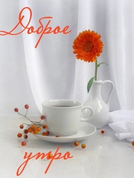 С добрым утром