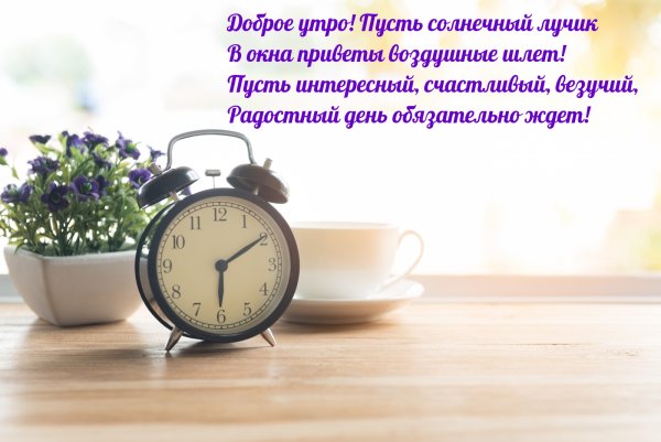 Добрые пожелания с ромашками