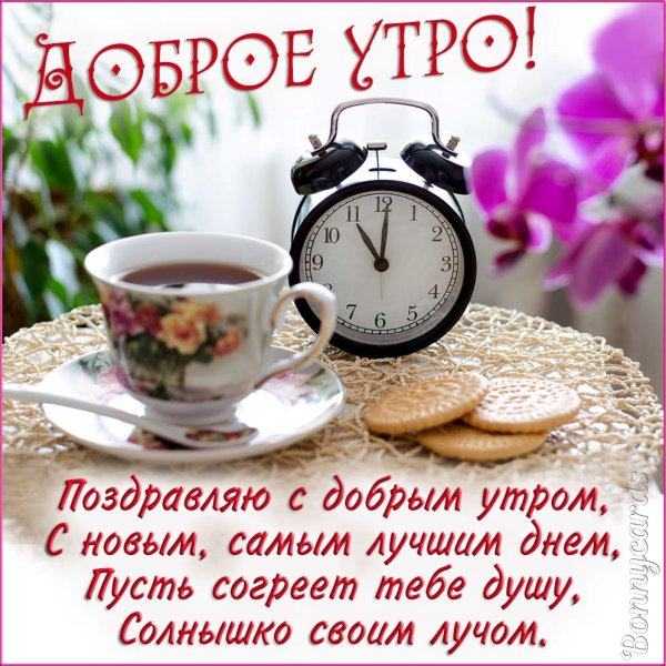 С добрым утром Лена