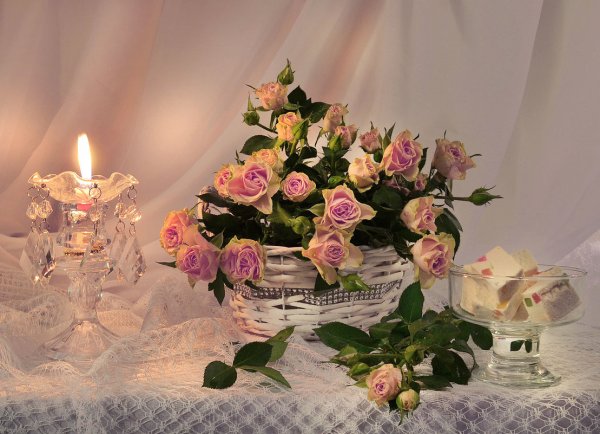 Цветы с пожеланием спокойной ночи