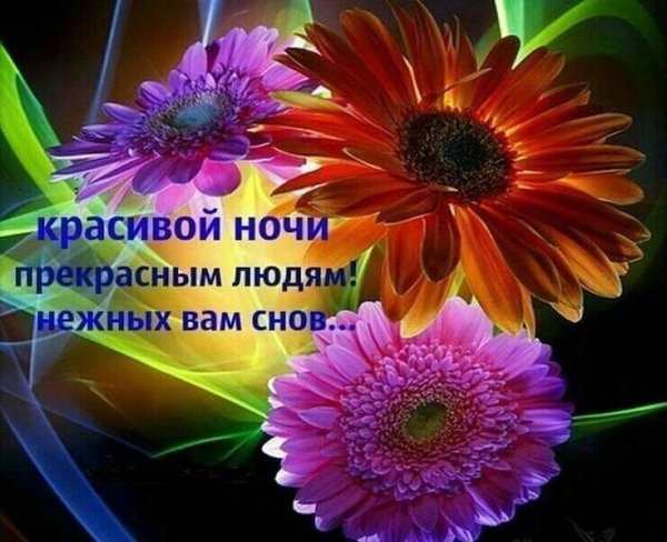 Цветы с пожеланием спокойной ночи