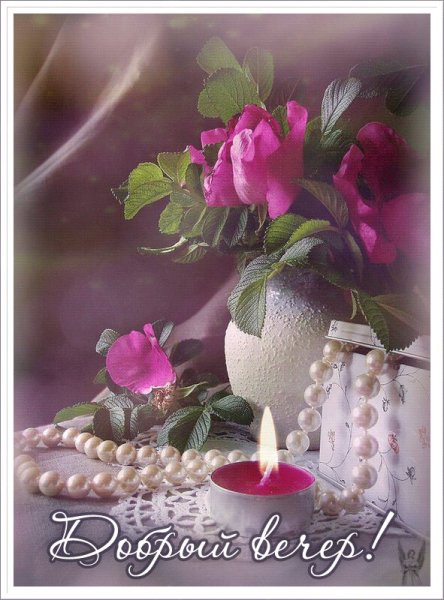 Добрый вечер красивые цветы