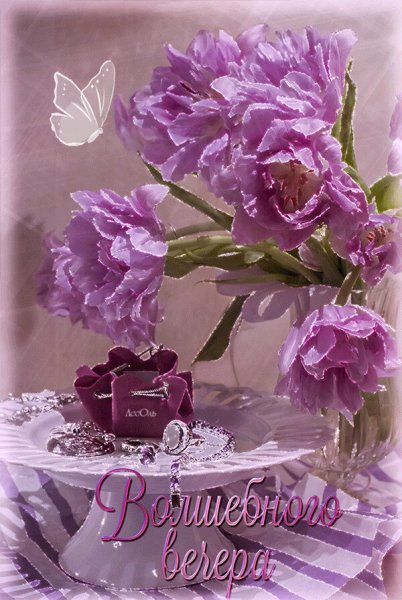 Доброй ночи цветы