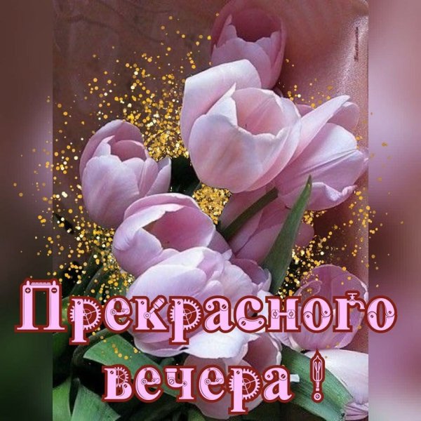 Красивые поздравления с добрым вечером
