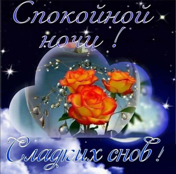 Спокойной ночи любимые