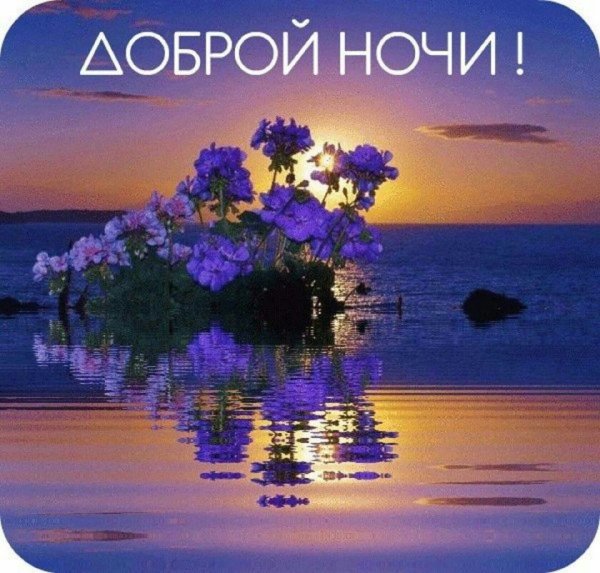 Пожелания спокойной ночи
