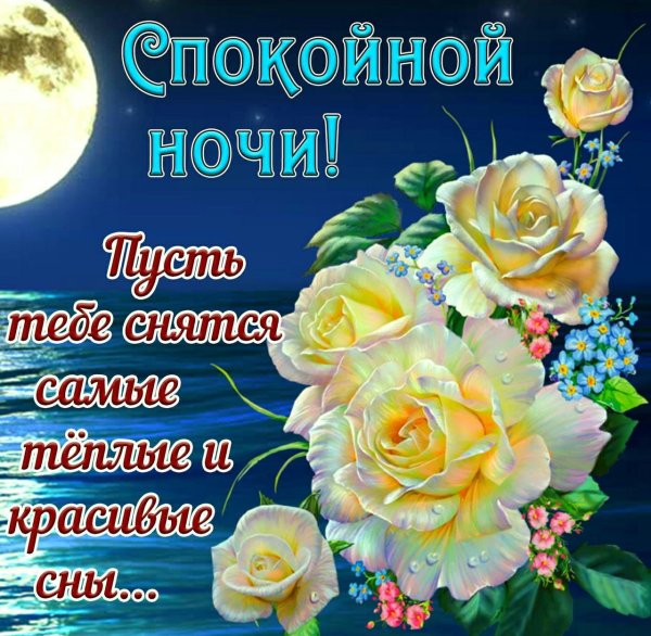 Сладких снов! Красивые цветы
