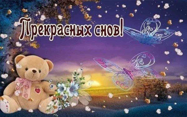 Спокойной ночи весной