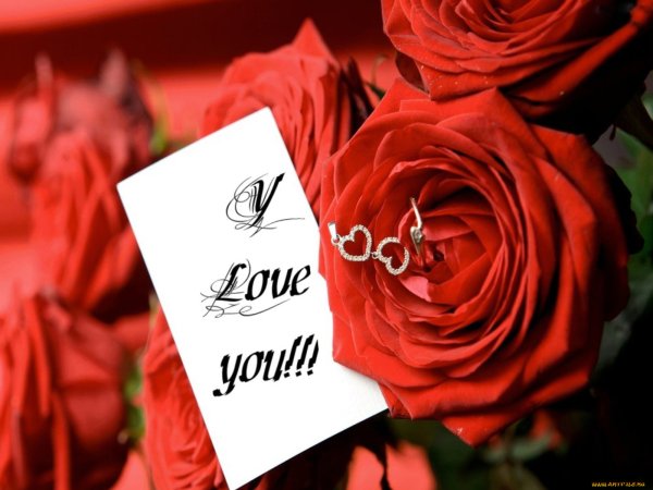 Букет роз с признанием в любви