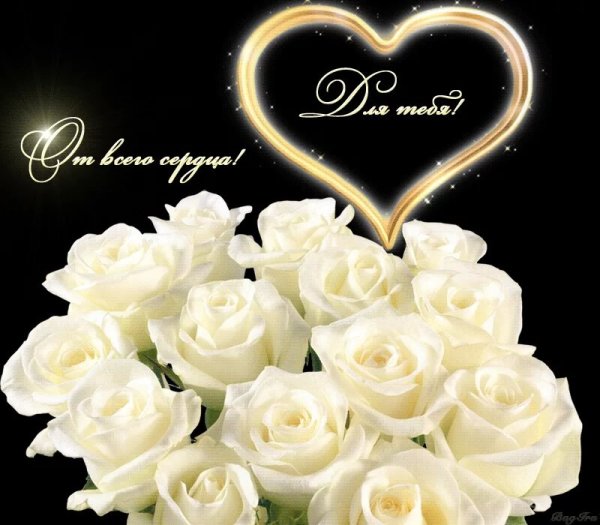 Белые розы для любимой женщины