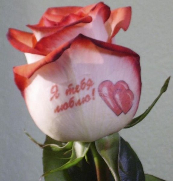 Цветы с надписью люблю