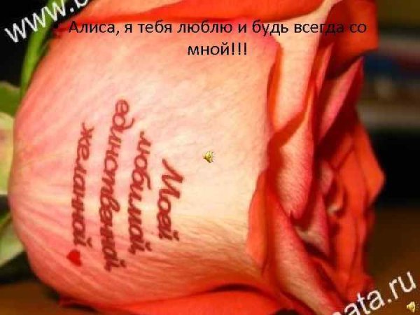 Красивые цветы с надписями и признаниями в любви