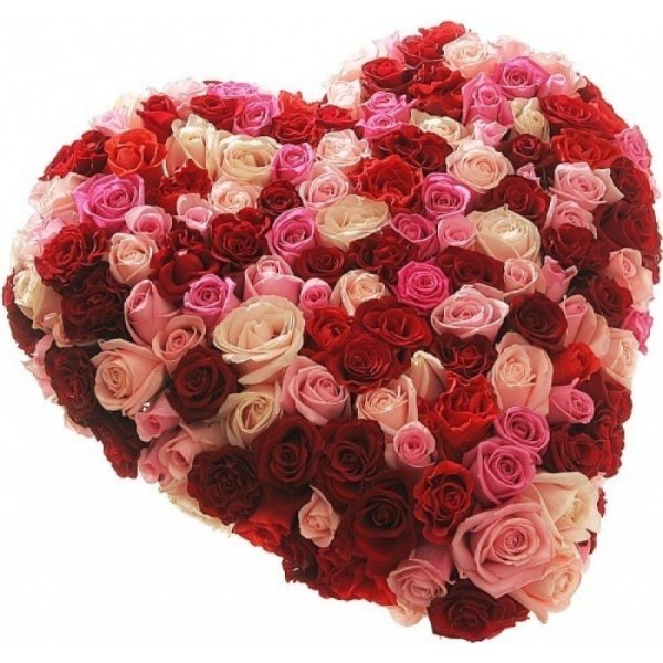 Сердце из роз