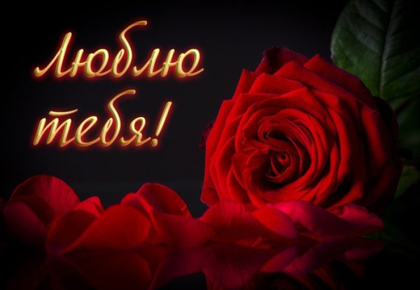 Цветы для любимой жены