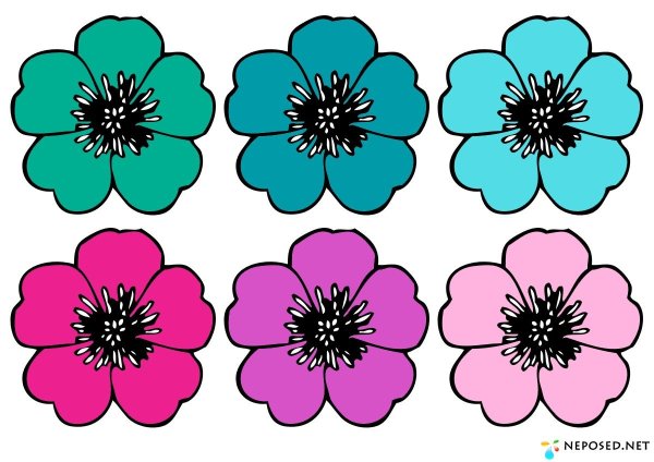 Дидактическая игра с цветочками