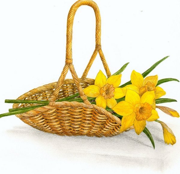 Изображение корзинки для цветов
