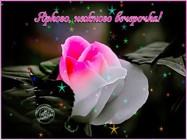 Добрый вечер цветы женщине