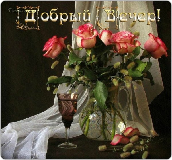 Хорошего вечера цветы