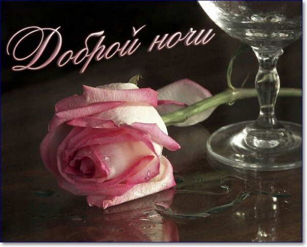 Добрый вечер Галина