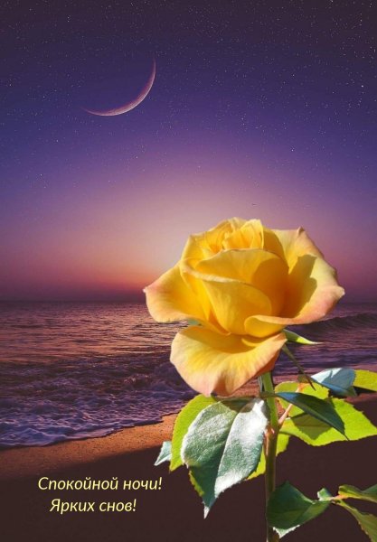 Нежные цветы для доченьки