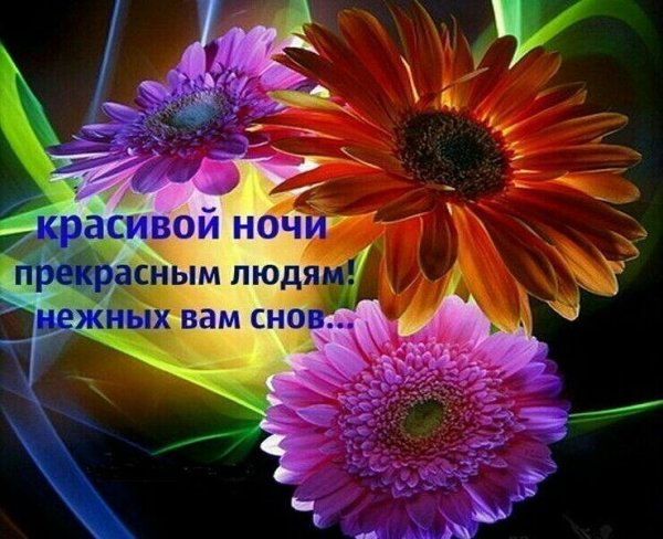 Красивый букет астры и полевые цветы