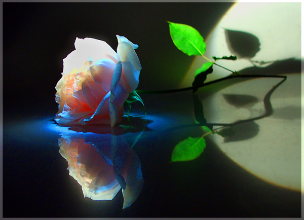 Чудесного летнего вечера