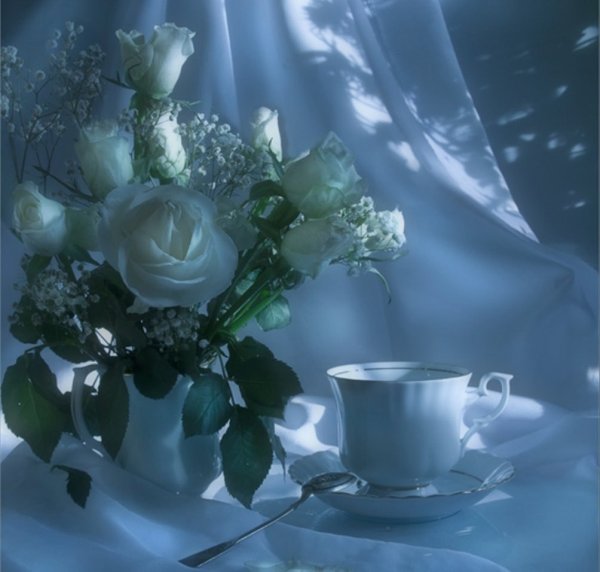 Прекрасная ночь