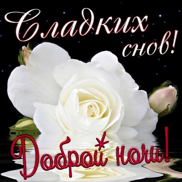 Спокойного вечера