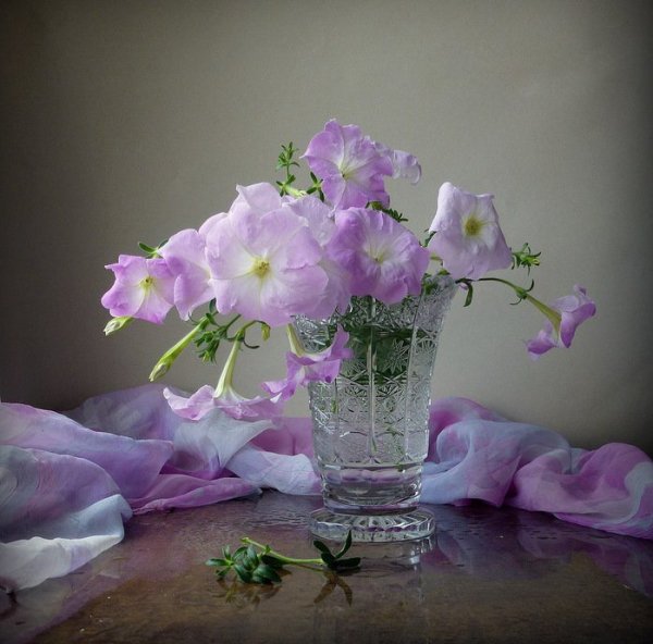 Чудесного весеннего вечера