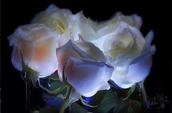 Красивые необычные нежные пожелания