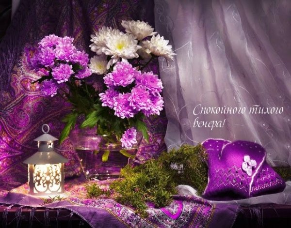 Прекрасного вечера