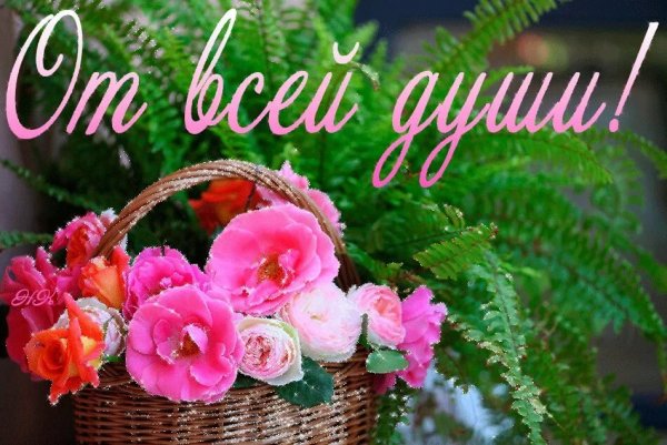 Красивые цветочки от души