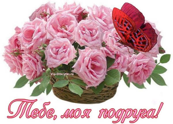 Цветы для тебя дорогая