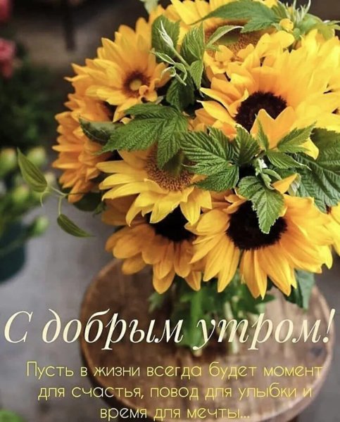 Доброе утро Подсолнухи