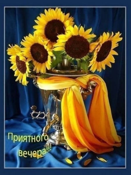 Добрый вечер с подсолнухами