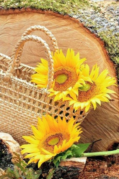 Корзинка с подсолнухами