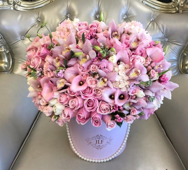 Цветы Роскошные стильные