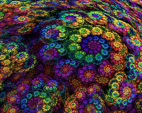 Цветы психоделика