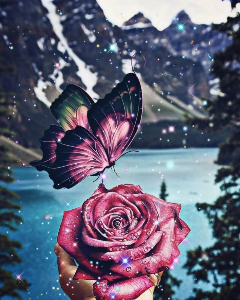 Цветы на аватарку