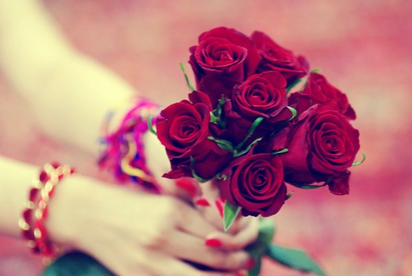 Цветы для статуса в ватсапе