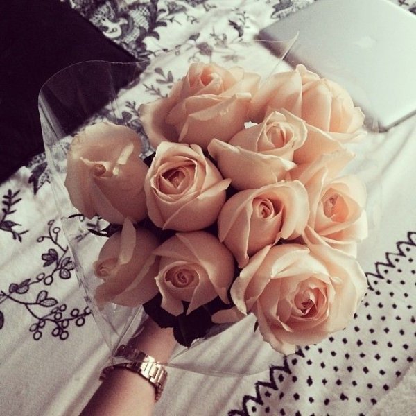 Девушка с розой в руках