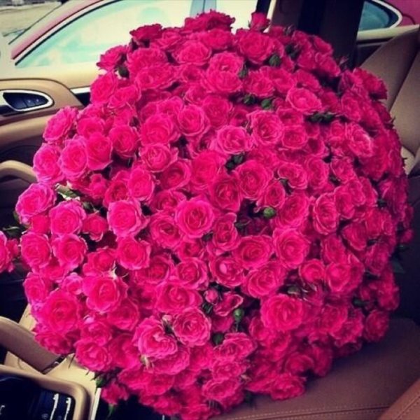 Классные красивые цветы