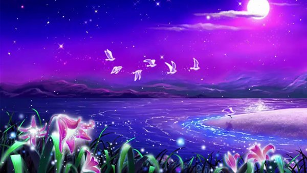 Спокойной весенней ночи любимому