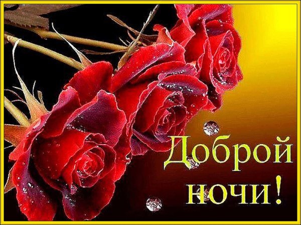 Открытки спокойной ночи с цветами