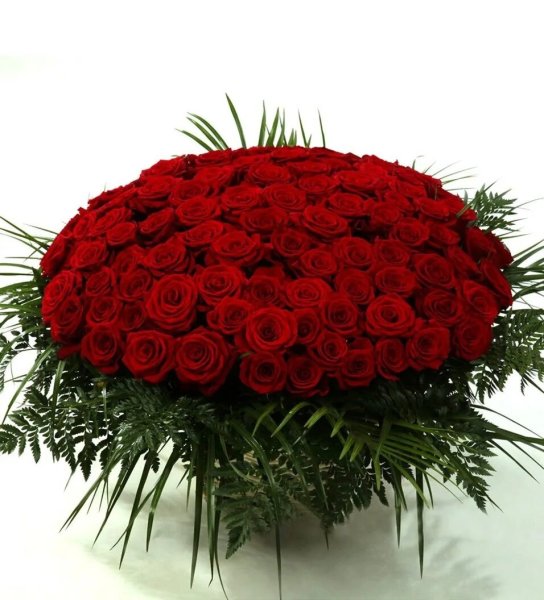 Поздравляю от души