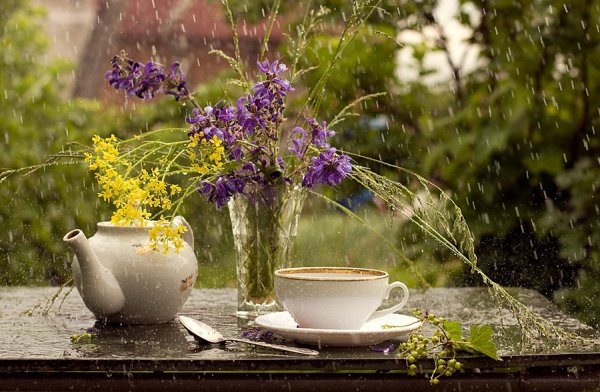 Осенние цветы на подоконнике