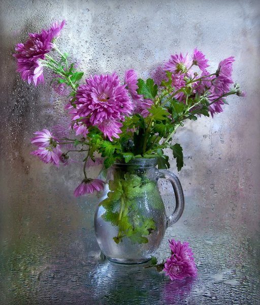 Дождливое утро